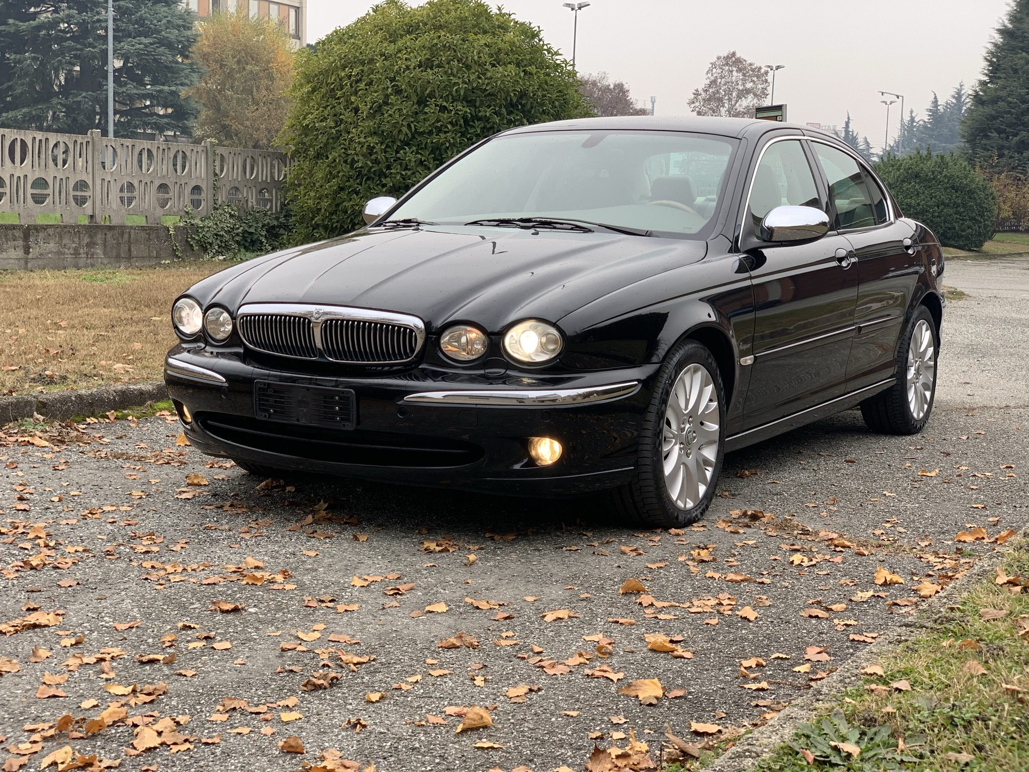 Х type jaguar